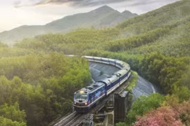 Chỉ còn 6.000 vé tàu từ TP.HCM đi Nha Trang, Phan Thiết dịp Tết Ất tỵ 2025