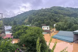 Hơn 110 người chết, mất tích do thiên tai từ đầu năm