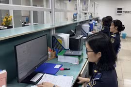 Chi cục Hải quan khu vực II thu ngân sách đạt gần 120 ngàn tỷ đồng