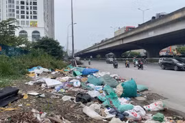 Hà Nội: Rác thải tràn xuống đường gây ô nhiễm tại Nguyễn Xiển