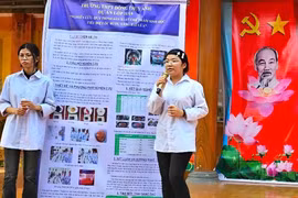 Khi giấc mơ an cư chỉ còn là... khung cửa sổ