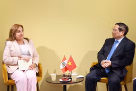Thủ tướng Phạm Minh Chính hội kiến Tổng thống Peru, gặp Thủ tướng Quần đảo Solomon và Tổng thống Palau