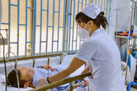 Hai vợ chồng thoát chết sau khi ăn cá nóc gạo om bún
