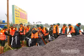 Ninh Bình: Tạm hoãn các hoạt động chào mừng thành công Đại hội đại biểu Đảng bộ tỉnh lần thứ I do ảnh hưởng bão số 10