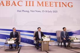 Chủ tịch nước Lương Cường dự khai mạc Kỳ họp lần thứ 3 Hội đồng Tư vấn Kinh doanh APEC