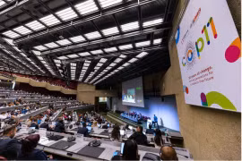 COP11: Ưu tiên bảo vệ giới trẻ trước 'nạn dịch' thuốc lá mới