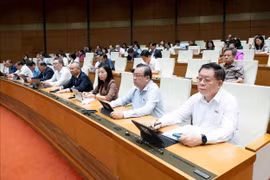 Tập trung nguồn lực, tháo gỡ những vướng mắc đẩy nhanh tiến độ các dự án truyền tải điện trọng điểm trên địa bàn Lào Cai