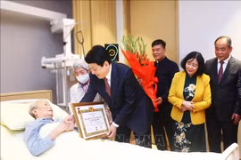 Nguyên Chủ tịch nước Trần Đức Lương nhận Huy hiệu 65 năm tuổi Đảng