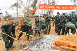 9 địa phương xây dựng kế hoạch thực hiện 'Chiến dịch Quang Trung', báo cáo Thủ tướng trước 5/12