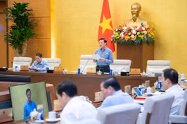 Sửa luật để đưa 5 tổ chức chính trị-xã hội và 20 hội về trực thuộc Mặt trận Tổ quốc