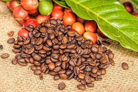 Giá nông sản hôm nay ngày 17/7/2025: Cà phê lao dốc 3.000 đồng/kg chỉ sau một đêm