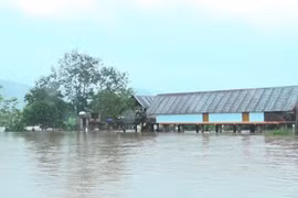 Tập trung ứng phó với lũ trên sông Ba ở Đắk Lắk và sông Kôn ở Gia Lai