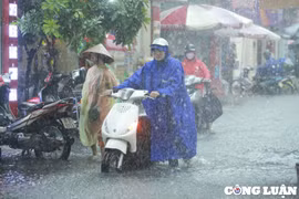 Hà Nội chi hơn 383 tỷ đồng chống úng ngập nội đô