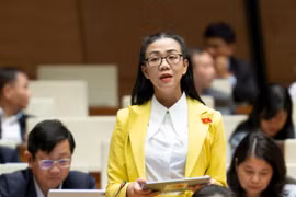 Cần có phương án sử dụng, khai thác và đặc biệt là bảo vệ đất hiếm