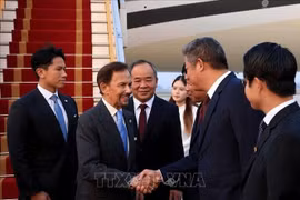 Quốc vương Brunei bắt đầu chuyến thăm cấp Nhà nước tới Việt Nam