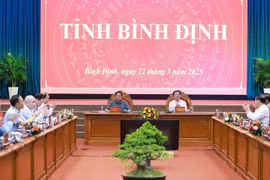 Bình Định cần triển khai quyết liệt cuộc cách mạng về tổ chức bộ máy
