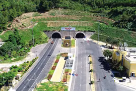 Cần sớm ban hành bộ tiêu chuẩn cho đường sắt tốc độ cao Bắc - Nam