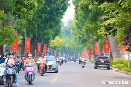 Hà Nội phấn đấu trồng mới hơn 700.000 cây xanh