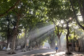 Dự báo thời tiết ngày 5/1: Bắc Bộ nắng hanh, Nam Bộ mưa rào