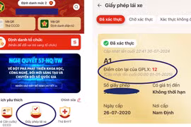 Hướng dẫn kiểm tra điểm của giấy phép lái xe trên điện thoại
