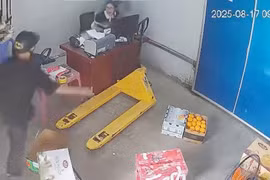 Bắt giữ người đàn ông cầm dao chém 3 đồng nghiệp trọng thương tại Hải Phòng