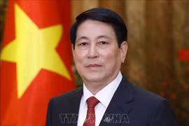 Chuyến thăm của Chủ tịch nước Lương Cường tới Ai Cập mở ra giai đoạn hợp tác mới giữa hai nước