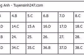 Chủ xe 9x đánh giá VinFast VF 7: “Chiếc xe như một người bạn thân”