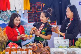 Sắc màu nông sản Tây Bắc hội tụ tại Sơn La