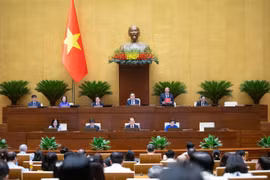 Ngày 15/5, Quốc hội nghe Tờ trình về dự án Luật Xử lý vi phạm hành chính (sửa đổi)