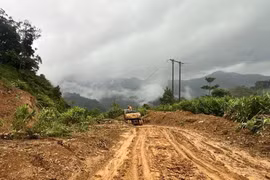 Công bố tình huống khẩn cấp để khắc phục hư hỏng đường Trường Sơn Đông