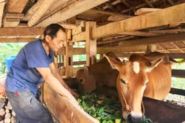 Cao Bằng: Giảm nghèo từ sự đồng lòng của chính quyền và Nhân dân