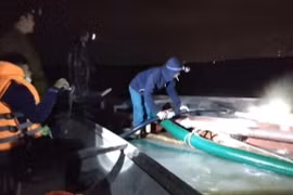 Liên tiếp phát hiện nhiều vụ tàng trữ, vận chuyển cát không rõ nguồn gốc tại Quảng Trị