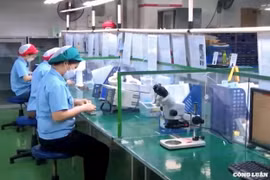 VẬN DỤNG SÁNG TẠO TƯ TƯỞNG HỒ CHÍ MINH Bài 2: Vận dụng sáng tạo tư tưởng Hồ Chí Minh vào chuyển đổi số
