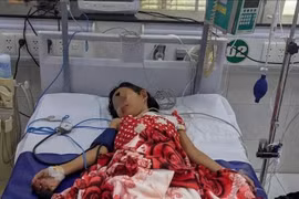 Báo động sốt xuất huyết ở trẻ em tại Cần Thơ: 17 ca nguy kịch, có bé phải thở máy