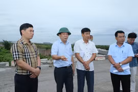 Hải Phòng: Chủ động phòng, chống thiên tai theo phương châm “4 tại chỗ”