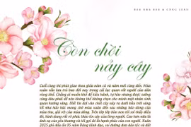 Còn chồi nảy cây