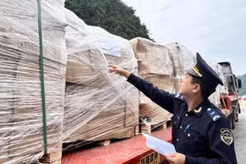 Lạng Sơn: Kim ngạch xuất nhập khẩu hàng hóa đạt hơn 1,1 triệu USD chỉ trong 7 ngày đầu năm 2025