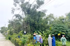 Hà Tĩnh chủ động ứng phó bão số 3, triển khai biện pháp hạn chế thiệt hại