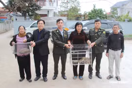 Hành trình hồi sinh: Phía sau những cuộc giải cứu động vật hoang dã của Kiểm lâm Hưng Yên