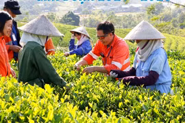 Sự lan toả từ chính sách giảm nghèo giai đoạn 2021-2025 và những kết quả quan trọng