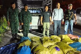 Thái Lan thu giữ 500 kg ma túy đá sau cuộc vây bắt ở Chiang Mai