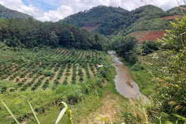 Vụ dân phản đối việc xây dựng thủy điện Đăk Pru 3: Xử phạt chủ đầu tư