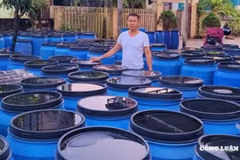 Quảng Trị: Nhọc nhằn nghề làm nước mắm truyền thống