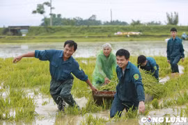 Hà Nội kiện toàn Ban Chỉ huy Phòng thủ dân sự cấp xã, tăng cường ứng phó thiên tai