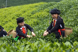 Thái Nguyên đổi mới cách giảm nghèo: Lấy thông tin làm động lực