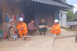 EVNNPC: Kết quả hoạt động sản xuất kinh doanh tháng 11/2025 và nhiệm vụ trọng tâm tháng cuối năm 2025