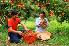 Sức mạnh công nghệ số, hướng đi mới cho giảm nghèo bền vững