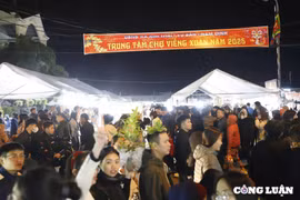 Du khách 'nườm nượp' về trẩy hội Chợ Viềng, tỉnh Nam Định