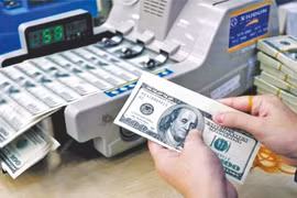Giá USD tiếp tục tăng kịch trần