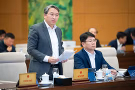 Tạo cơ sở pháp lý thực hiện việc sắp xếp tổ chức bộ máy nhà nước theo tinh thần 'vừa chạy, vừa xếp hàng'